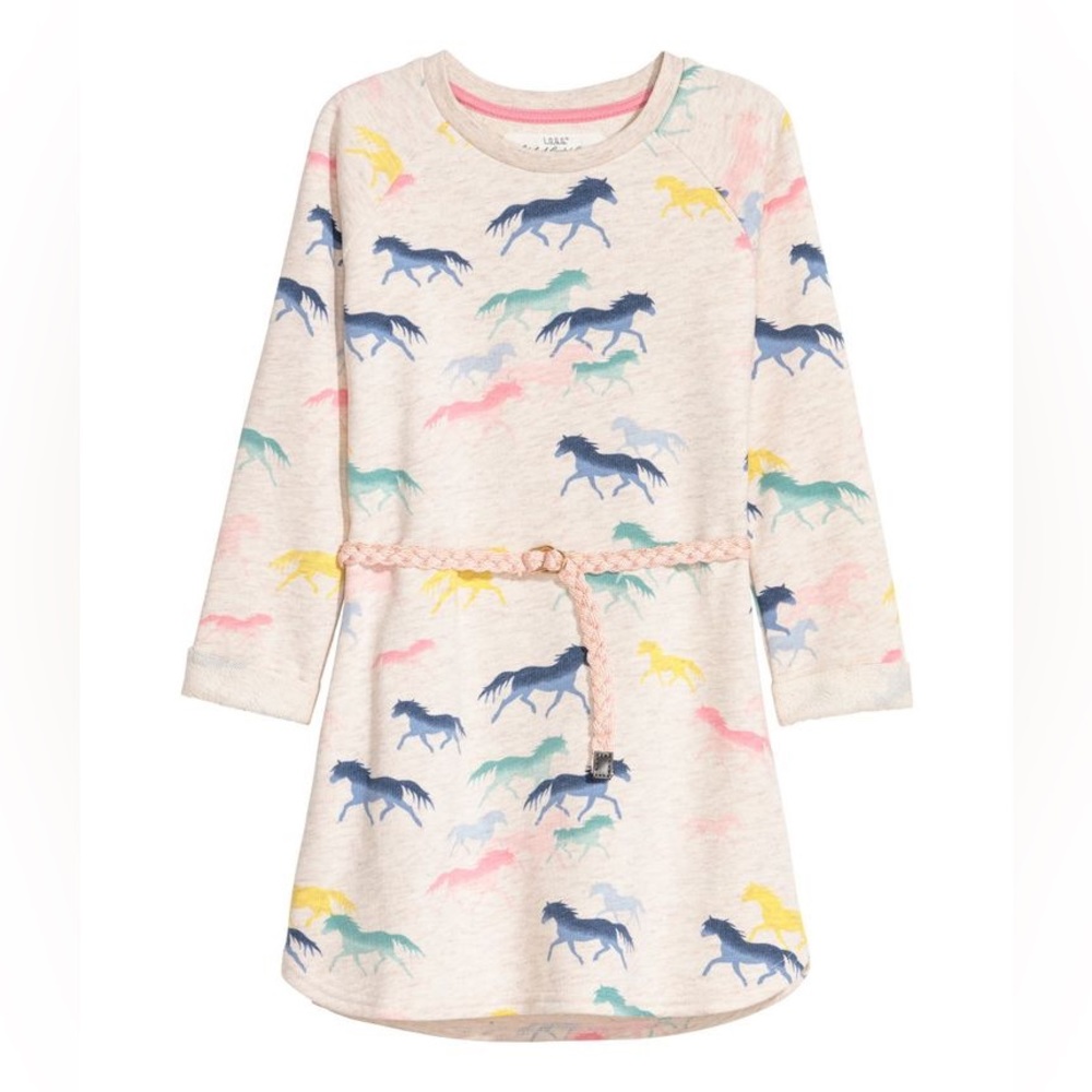 H&M Sweater Dress